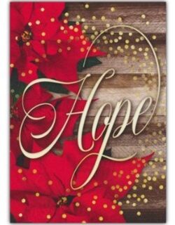 730817360911 Christmas Hope Is Born Anew KJV Box Of 12