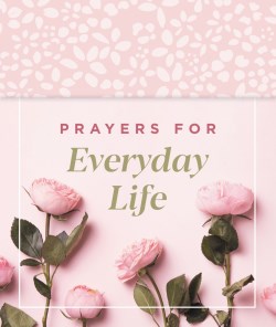 9780310154105 Prayers For Everyday Life Prayer Czrds