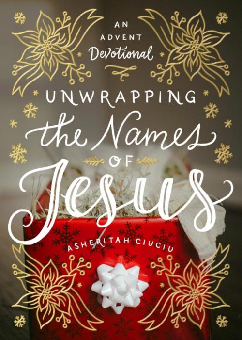 9780802416728 Unwrapping The Names Of Jesus
