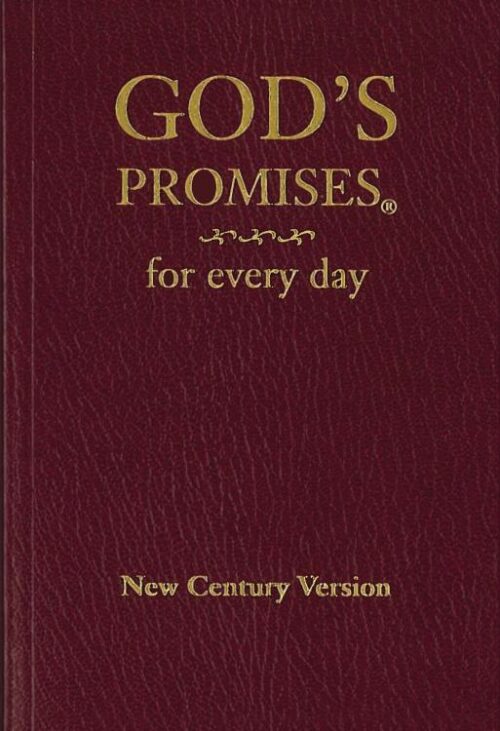 9780849962684 Gods Promises For Every Day
