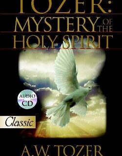 9780882703428 Tozer Mystery Of The Holy Spirit