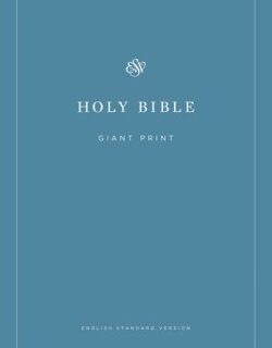 9781433558979 Economy Bible Giant Print