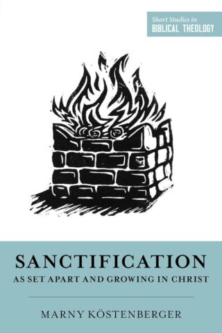 9781433573651 Sanctification As Set Apart And Growing In Christ