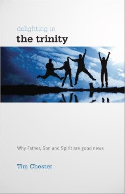 9781907377334 Delighting In The Trinity