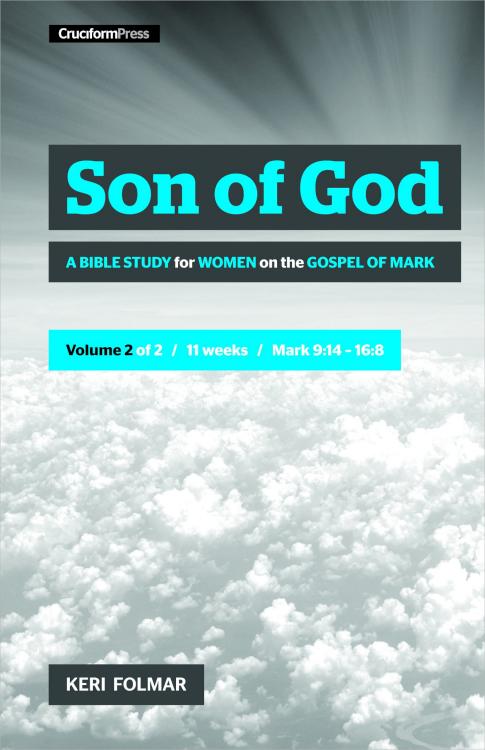 9781941114827 Son Of God 2 (Workbook)