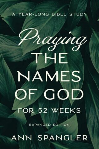 9780310145158 Praying The Names Of God For 52 Weeks