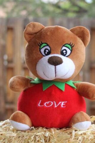 759740954592 Love The Apple Bear