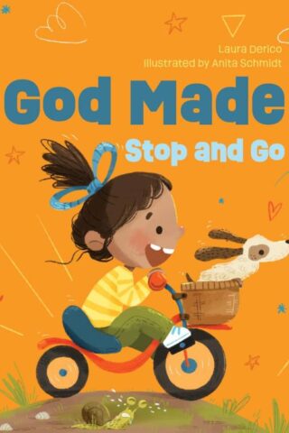 9780830784325 God Made Stop And Go