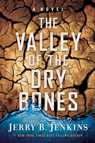9781617950087 Valley Of Dry Bones